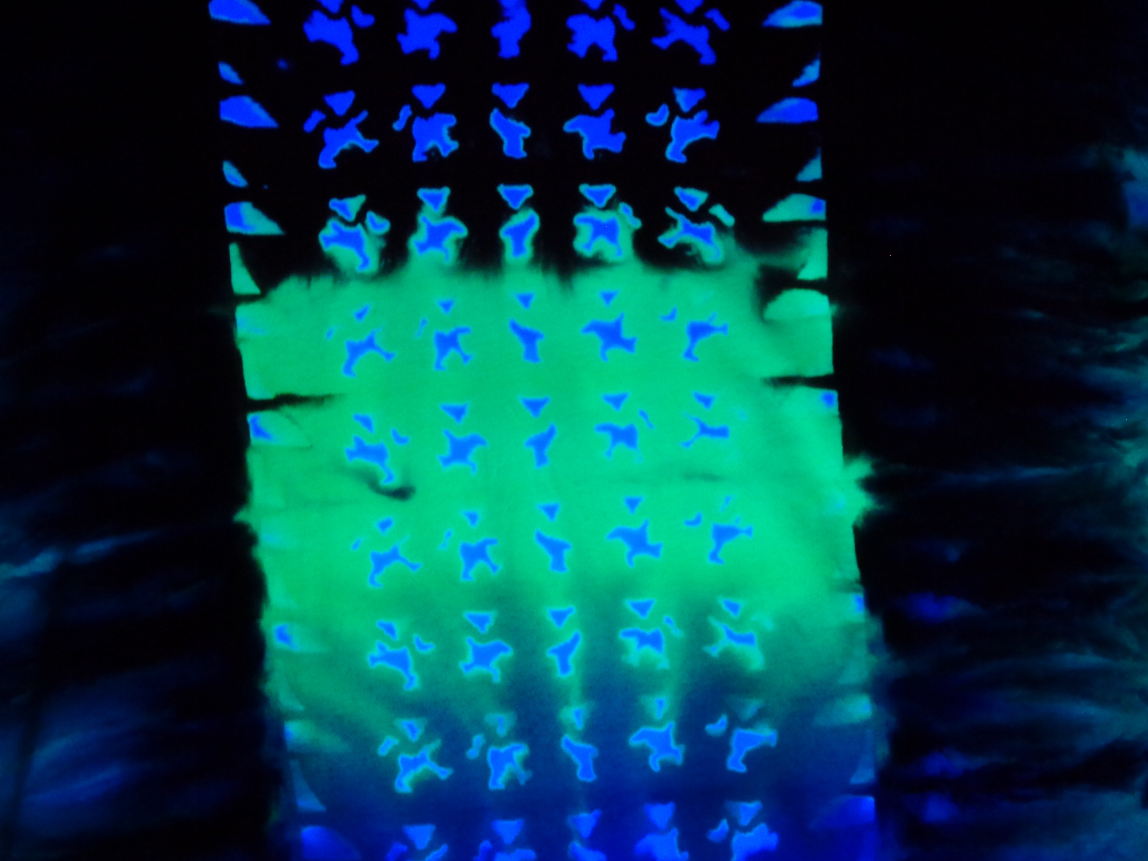 Dyenied #210 L Bamboo GD BEARS (UV)