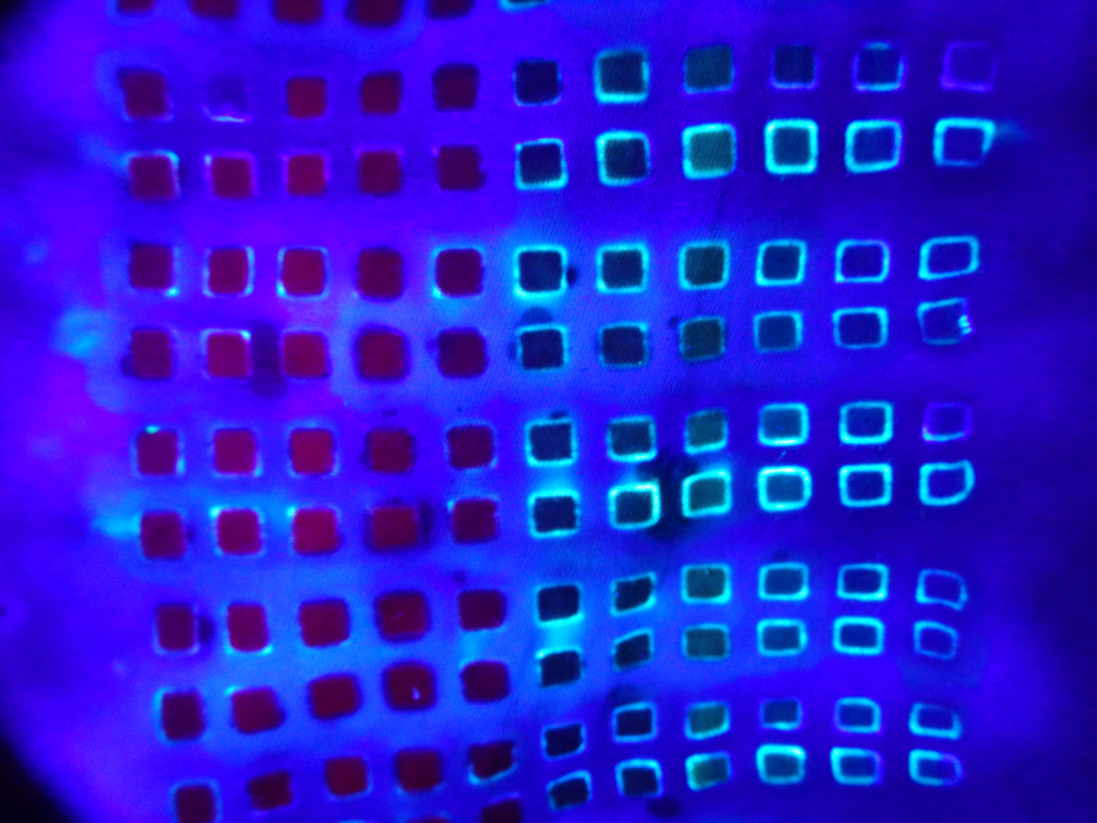 Dyenied #256 L Gildan Hammer REDUX SQUARE (UV)