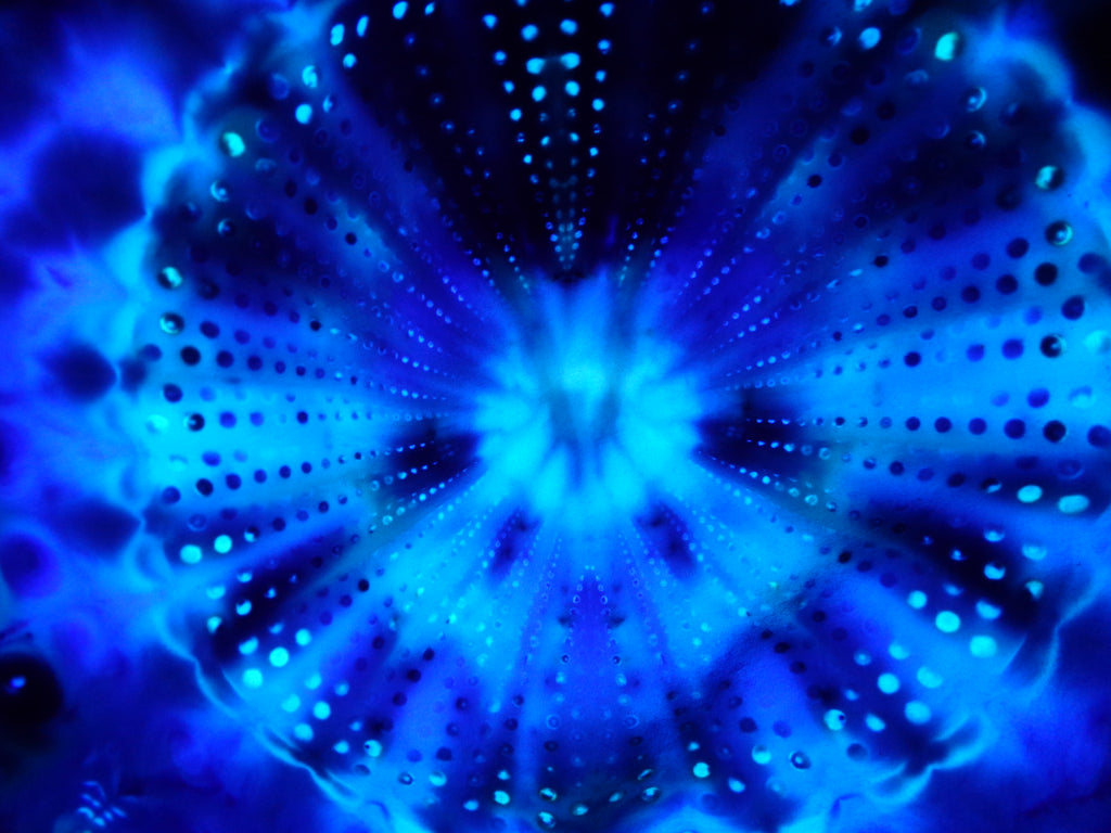 Dyenied #255 L Combed Ringspun DUAL MANDALAS (UV)