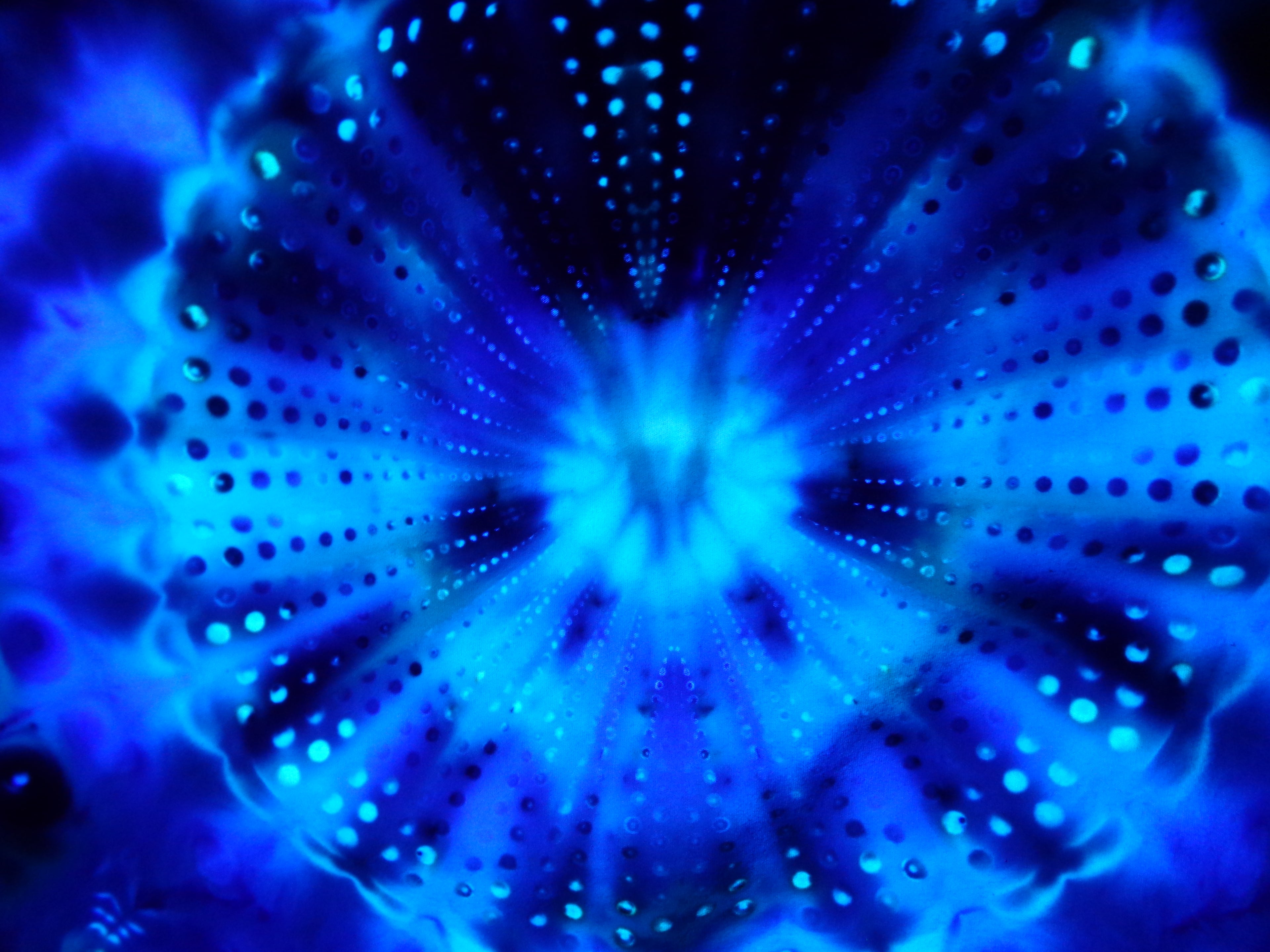 Dyenied #255 L Combed Ringspun DUAL MANDALAS (UV)